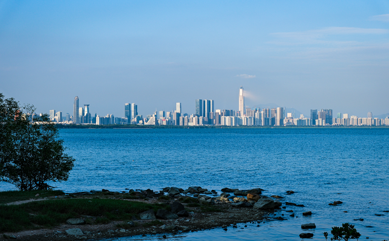 深规院获批共建生态环境部重点实验室，支撑滨海城市生态环境保护与高质量发展