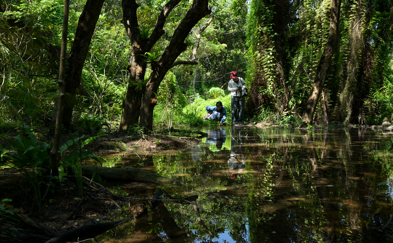 从微观生境到全域规划，深规院斩获2025国际风景园林大奖六项荣誉